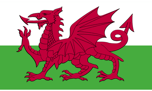 Fire safety Wales flag